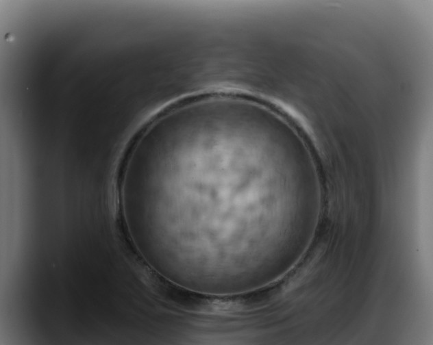 X0000088381271200705291340
