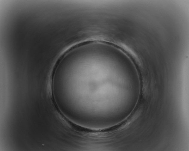X0000088381272200705291340