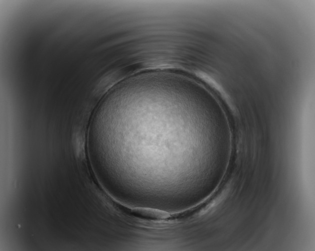 X0000088381273200705291340