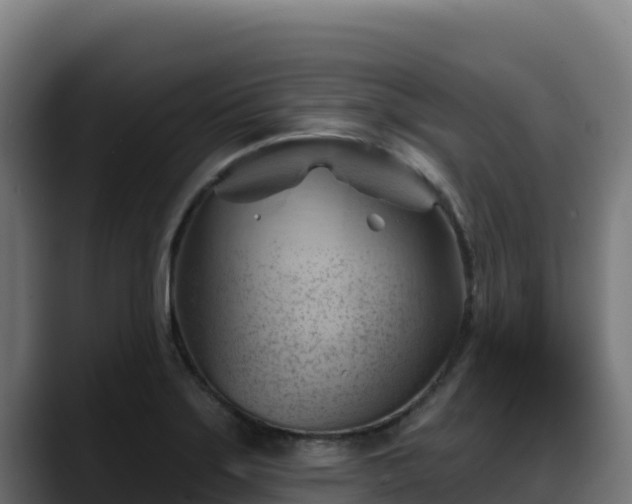 X0000088381275200705291340