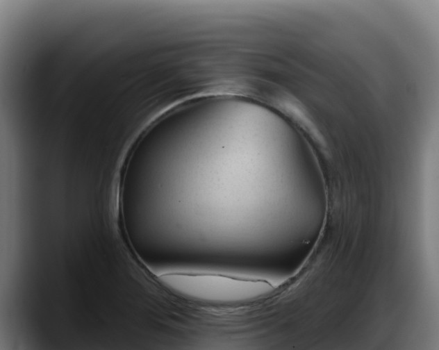 X0000088381276200705291340