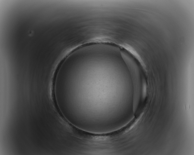 X0000088381277200705291340
