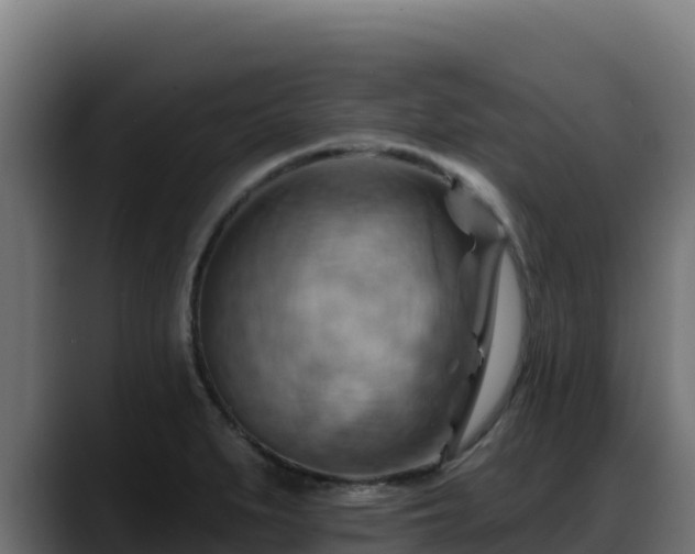 X0000088381279200705291340