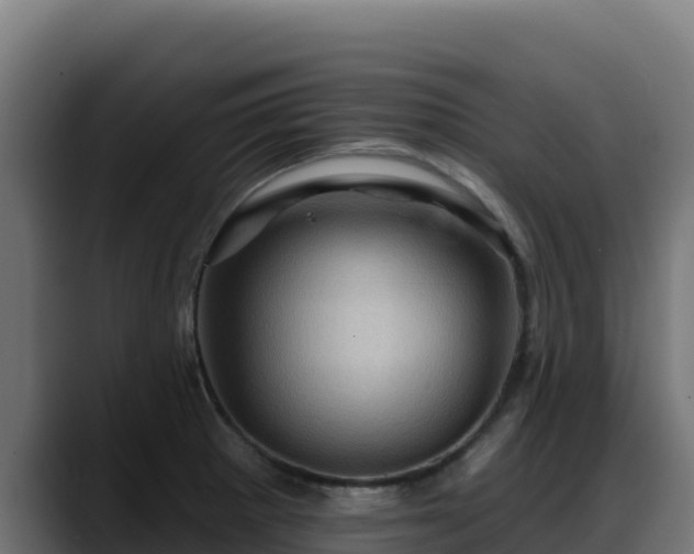 X0000088381281200705291340