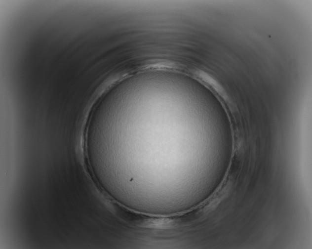 X0000088381282200705291340