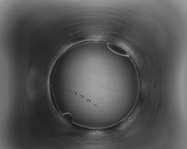 X0000088381283200705291340