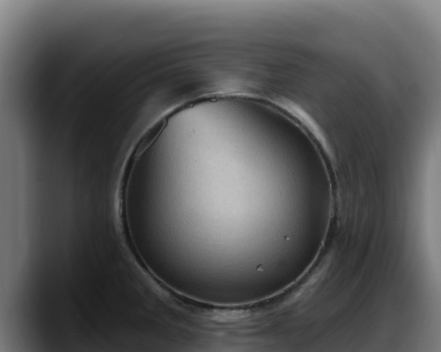 X0000088381285200705291340