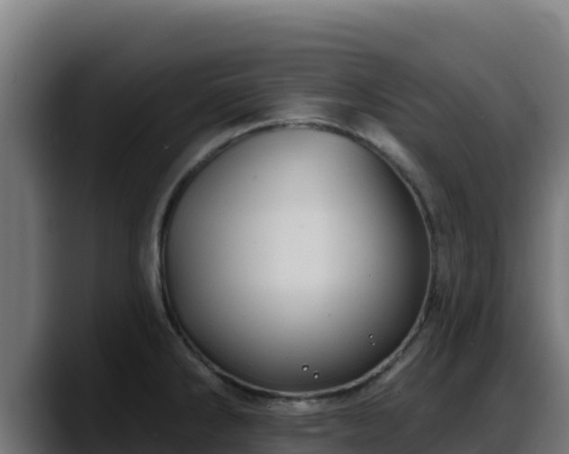 X0000088381286200705291340