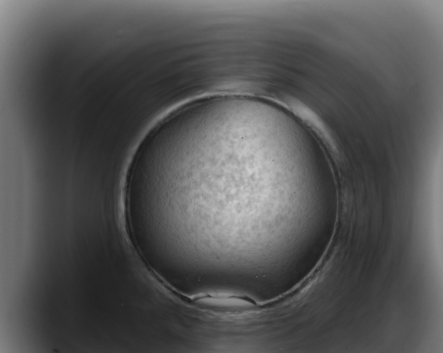 X0000088381288200705291340
