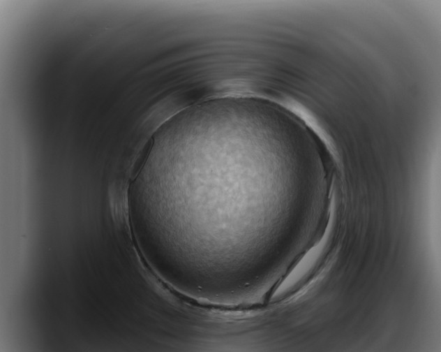 X0000088381289200705291340