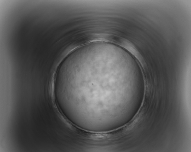 X0000088381290200705291340