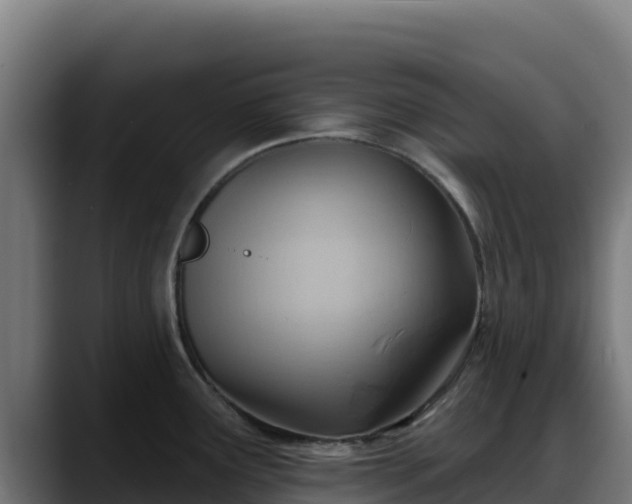 X0000088381291200705291340