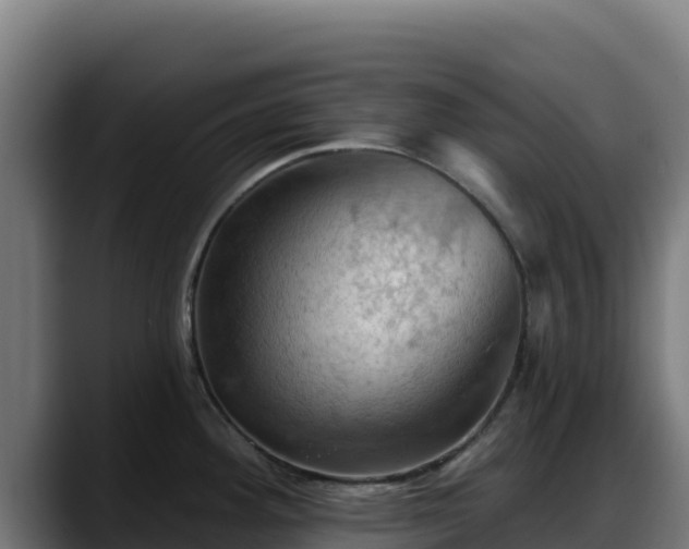 X0000088381292200705291340