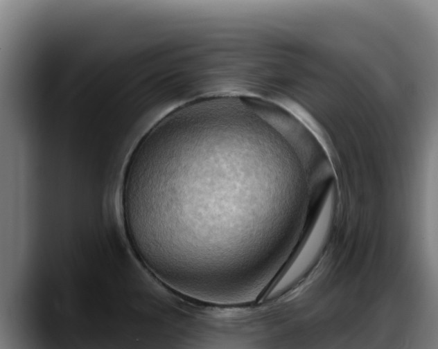 X0000088381293200705291340