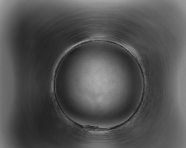 X0000088381296200705291340