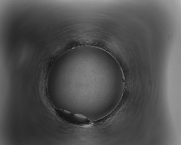 X0000088381297200705291339