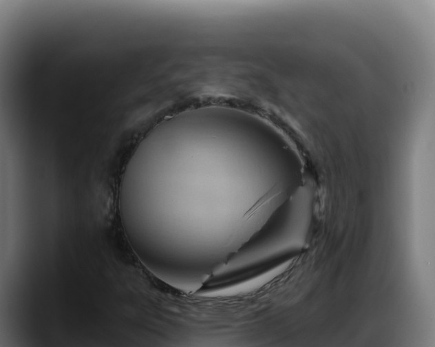 X0000088381303200705291339