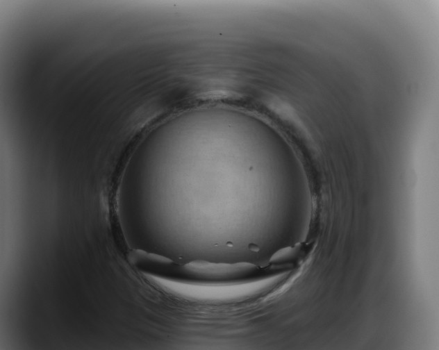 X0000088381305200705291340