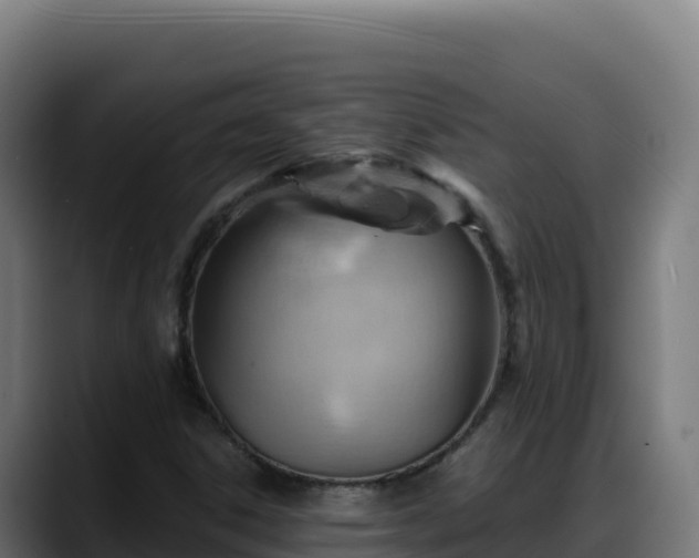 X0000088381306200705291340