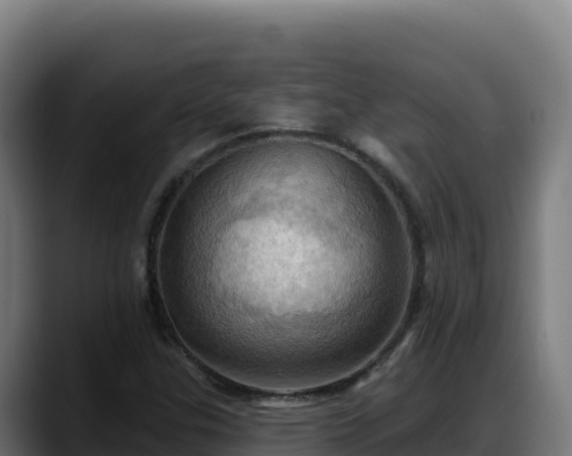 X0000088381307200705291340