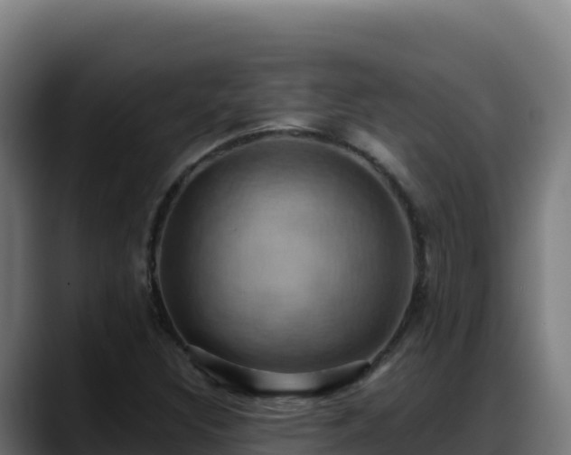 X0000088381308200705291340