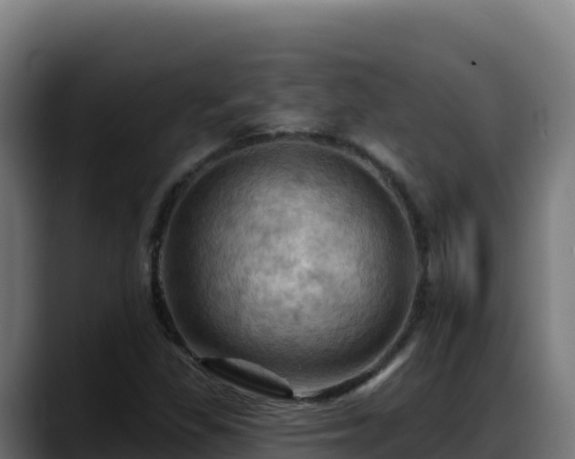 X0000088381309200705291340