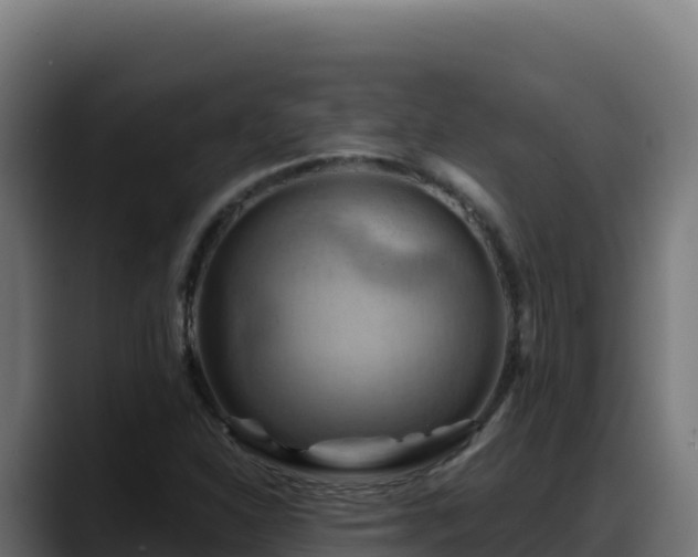 X0000088381310200705291340