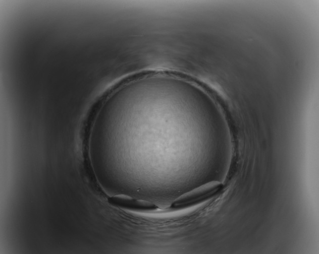 X0000088381311200705291340