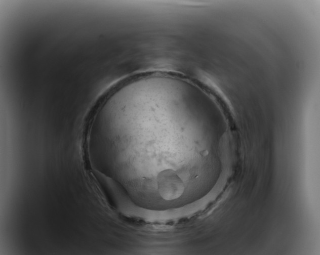 X0000088381312200705291340