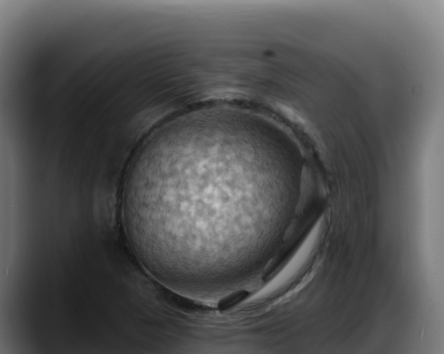 X0000088381313200705291340