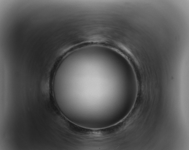 X0000088381315200705291340