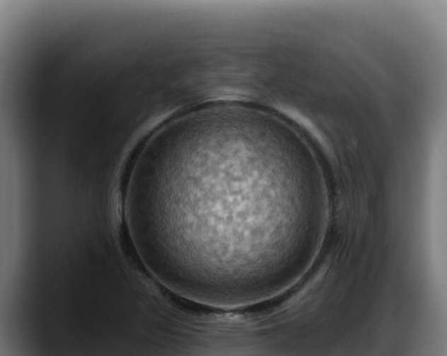 X0000088381317200705291340