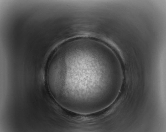 X0000088381318200705291340