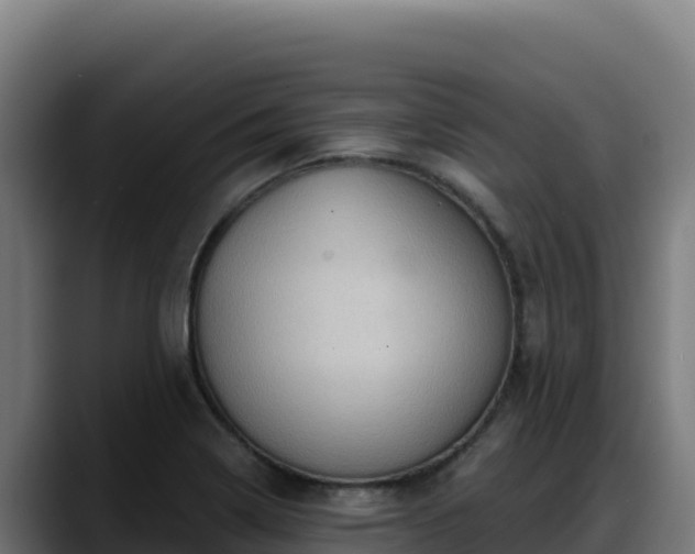 X0000088381322200705291340