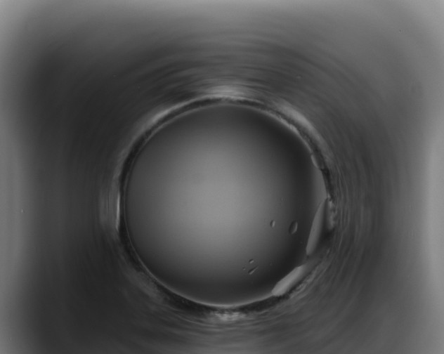 X0000088381323200705291340