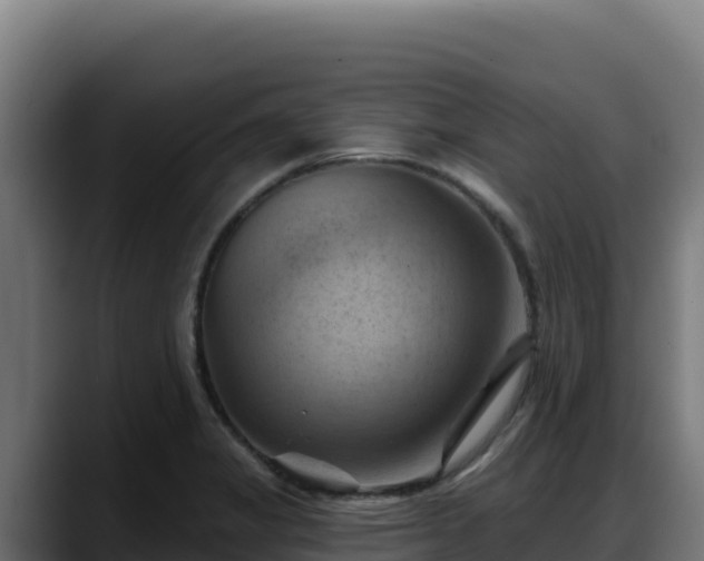 X0000088381325200705291340