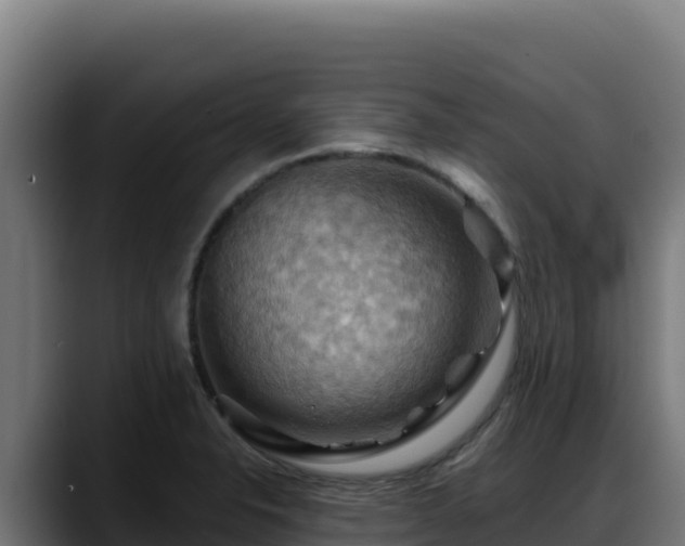 X0000088381326200705291340