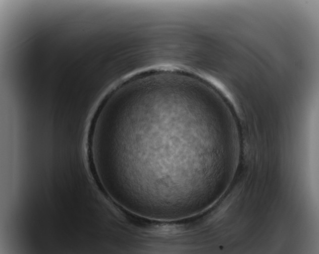 X0000088381327200705291340
