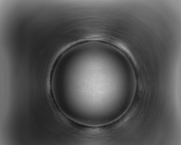 X0000088381328200705291340