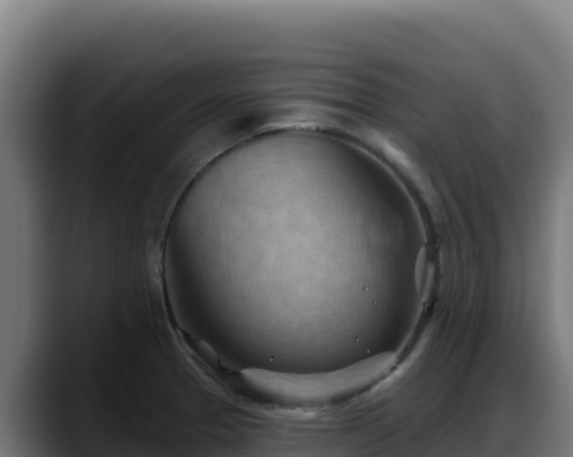 X0000088381329200705291340