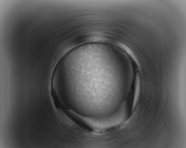 X0000088381330200705291340