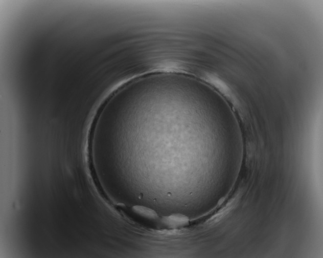 X0000088381331200705291340