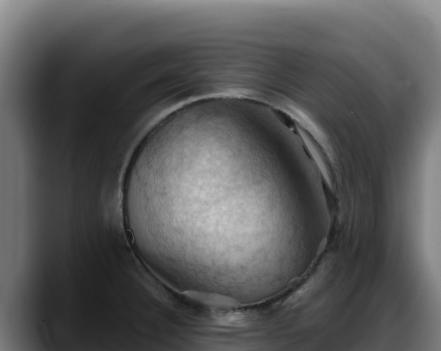 X0000088381332200705291340