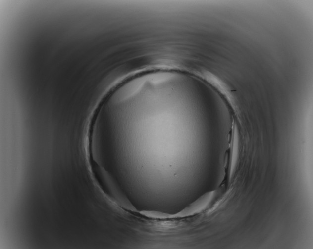 X0000088381334200705291340