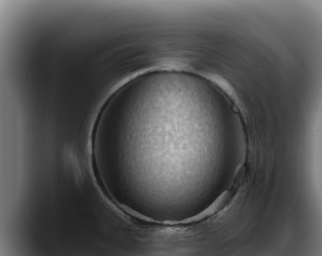 X0000088381335200705291340