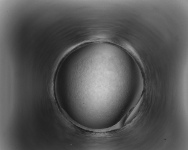X0000088381336200705291340