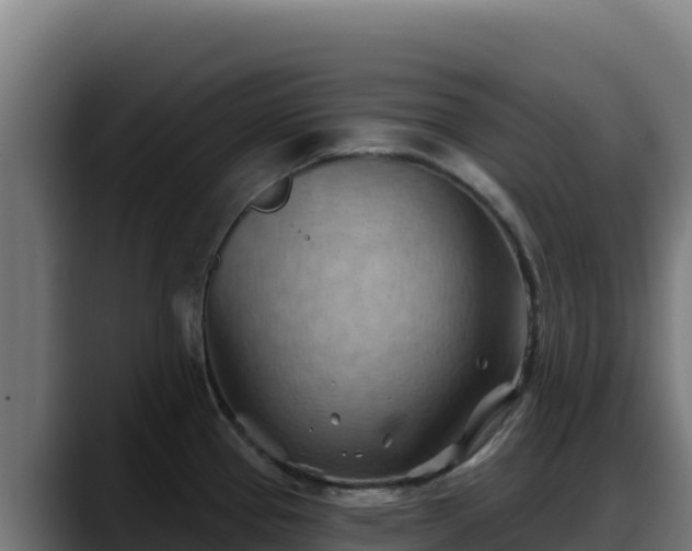 X0000088381337200705291340