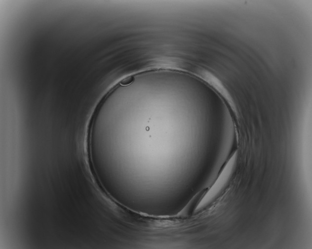 X0000088381339200705291340