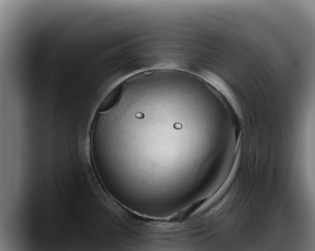 X0000088381340200705291340