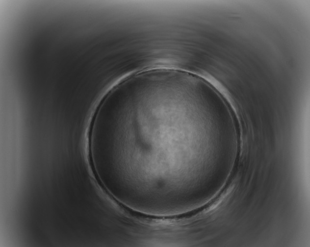 X0000088381341200705291340